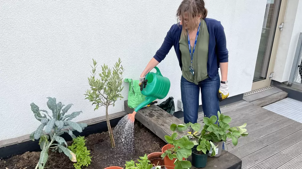 watering can