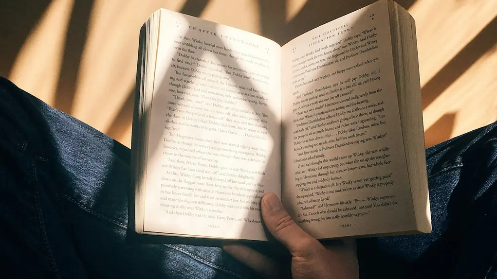 Hand holding a book