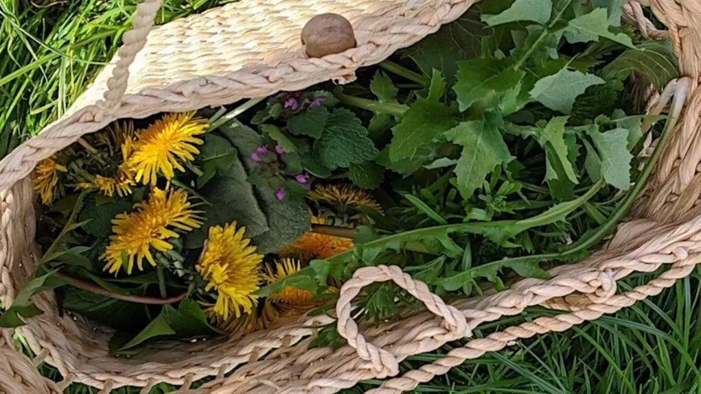 Basket full of herbs